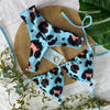 Biquini Wild Desire | Azul